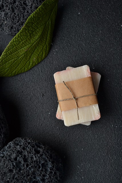 Ontdekken van bioadmin.be: jouw platform voor biologische administratie in belgië